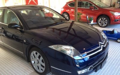 新入庫予定のおしらせ