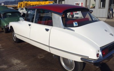 土曜日ご来店ありがとうございます。