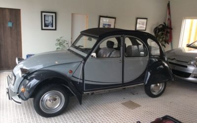 余りにも雪が降り