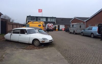 オランダ スペシャリスト