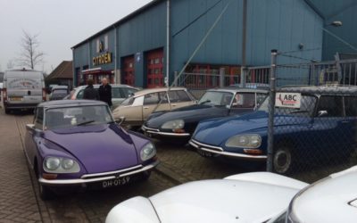 オランダ スペシャリスト