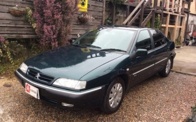 新入庫のお知らせ