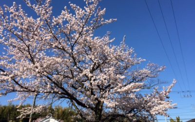 新社会人を思い出す