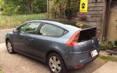 新入庫のお知らせ