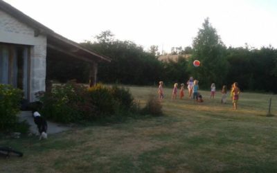 チーム アウトニーズ オランダ