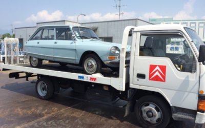 オランダからのお友達