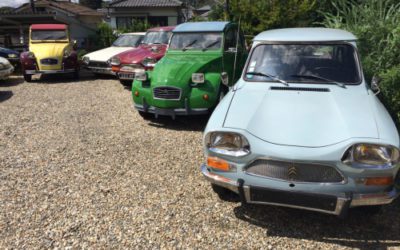 涼しくなりました