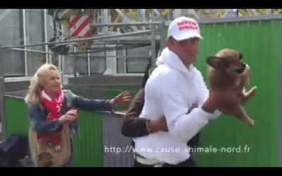 一番大事にしたい物(ブログファン限定)