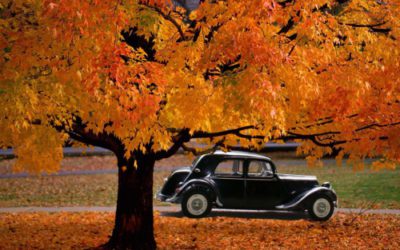 昼からズル休み