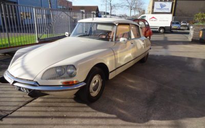 オランダからのオファー