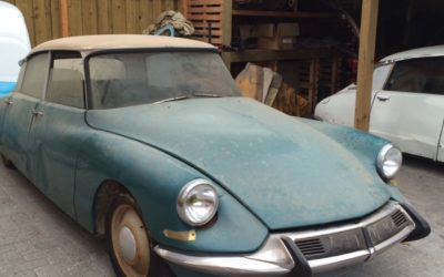 オランダからのご紹介