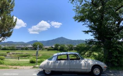 DSと共に 〜DS23Pallas Beige Albatros〜